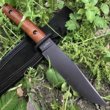 ARBOLIT170 N695