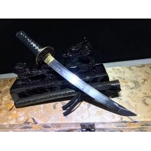 圆龙武士短叨（全长51厘米）